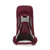 Aura AG LT 65 Backpack Osprey - Antidote Purple