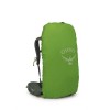 Kestrel 38 Osprey Ryggsäck - Bonsai Green