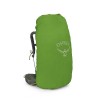Kestrel 58 Osprey Ryggsäck - Bonsai Green