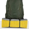 Kestrel 58 Osprey Ryggsäck - Bonsai Green