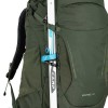 Kestrel 58 Osprey Ryggsäck - Bonsai Green