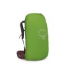 Kyte 38 Osprey Backpack - Elderberry Corcra
