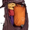 Kyte 58 Osprey Backpack - Elderberry Corcra