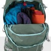 Hikelite 26 Osprey Ryggsäck - Pine Leaf Green