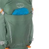 Hikelite 26 Osprey Ryggsäck - Pine Leaf Green