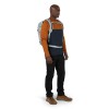 Hikelite 26 Osprey Ryggsäck - Silver Foder