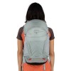 Hikelite 26 Osprey Ryggsäck - Silver Foder