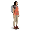 Hikelite 26 Osprey Ryggsäck - Silver Foder