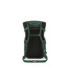 Skarab 22 Osprey Backpack - Tundra Green
