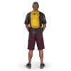 Syncro 5 Backpack Osprey