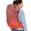 Deuter Futura 30 SL Backpack - caspia-currant