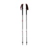 Bâtons Trail Pro Black Diamond