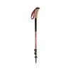 Trail Ergo Cork Black Diamond Pole