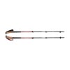 Trail Ergo Cork Black Diamond Pole