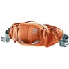 Deuter Pulse 3 Pannier - Kastanien-Teal