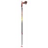 Bastons Trail Carbon 2M TSL