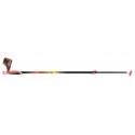 Bastons Trail Carbon 2M TSL