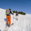 Flask / Schrauber Stick Lacal Touring Ski Pole