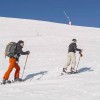 Flask / Schrauber Stick Lacal Touring Ski Pole