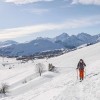 Flask / Schrauber Stick Lacal Touring Ski Pole