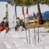 Flask / Schrauber Stick Lacal Touring Ski Pole