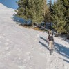 Flask / Schrauber Stick Lacal Touring Ski Pole