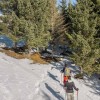 Flask / Schrauber Stick Lacal Touring Ski Pole