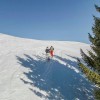 Flask / Schrauber Stick Lacal Touring Ski Pole