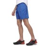 Short homme Flatiron Shorts Black Diamond - Ultra Blue