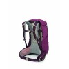 Mochila Sirrus 24 Osprey - Sabugueiro Roxo/Chiru Tan