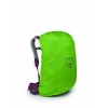 Mochila Sirrus 24 Osprey - Sabugueiro Roxo/Chiru Tan