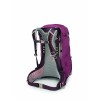 Mochila Sirrus 34 Osprey - Sabugueiro Roxo/Chiru Tan