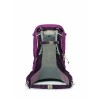 Mochila Sirrus 34 Osprey - Sabugueiro Roxo/Chiru Tan