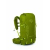 Talon Velocity 30 Osprey Backpack - Matcha Green/Lemongrass