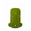 Talon Velocity 30 Osprey Backpack - Matcha Green/Lemongrass