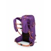Tempest Velocity 20 Osprey Backpack - Pashmina/Melon