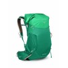 Motxilla Osprey per a dona Downburst 34 - Escapade Green