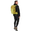 Speed Lite 25 Deuter backpack - linden-sprout