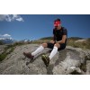 Pro Recup Elite Evo BV Sport återställningsstrumpor