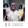 Flasque suodosaine LifeStraw Flex
