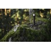 Lampe frontale Wizard C2 Pro Olive Armytek
