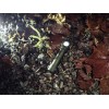 Lampe frontale Wizard C2 Pro Olive Armytek