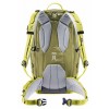 Deuter Freerider 30 バックパック - sprout-cactus