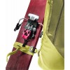 Deuter Freerider 30 バックパック - sprout-cactus