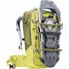 Deuter Freerider 30 バックパック - sprout-cactus
