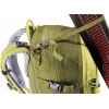 Deuter Freerider 30 バックパック - sprout-cactus