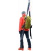 Deuter Freerider Pro 34+ スキー バックパック - cactus-sprout