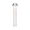 Bâtons ski touring Traverse Black Diamond - Octane