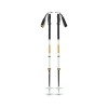 Traverse Pro Black Diamond touring ski poles - Foam Green