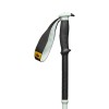 Traverse Pro Black Diamond touring ski poles - Foam Green